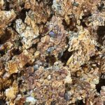 Granola Complete Granola Complete